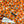 Miumiu 2026 Flower Dress Orange mix Colors Cotton 187754