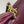 CC 2026 Clutch With Chain 25cm Burgundy Lizard-embossed Calfskin