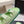 CC 26s Sandals Light Green Beige Leather Raffia 632392