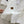 CC 2026 Brown Logo Shirt White 392417