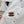 CC 2026 Brown Logo Shirt White 392417