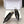 YSL 26ss Flat Slingback Black Glossy Leather 654711