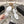 CC 2026 Platform Sandals Sheepskin 834306