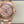 IWC Ingenieur Perpetual Calendar 41 Pink Gold Case