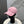 Balen Baseball Cap Cotton 323769