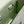 KELLY DOLL 18 IN LIGHT GREEN CALFSKIN