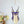 ZIMMERMANN BIKINI ONE-PIECE SWIMSUIT 270331