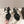 CC 26s Floral Sandals 75 Sheepskin 658451