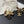 CC Crystals Black Enamel Bow Gold Earrings