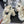 CC 26s Platform Sandals 75 White Sheepskin Mixed Gold Charm 650089
