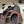 CC 26s Slingback 65 Dark Red Black Tweed Sheepskin 649423