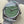 Rolex Oyster Perpetual 36 Pistachio Dial Stainless Steel