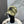BASEBALL HAT IN OLIVE GRAY JEAN 672990