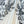 ZIMMERMANN PLEATED SHIRT 270192