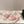 CC 26s Floral Slippers Sheepskin 658459