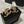 CC Double C Large Backpack Gold Earrings