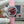 Patek Aquanaut 35.6mm Red Dial Pink Rubber Strap