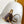 Louis Vuitton 2026 Speedy Trunk 20 Brown Tan Monogram Canvas Mix Cowhide