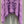 LOEWE SWEATER STYLE 223