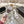 CC 2026 Platform Sandals Lambskin 834303