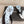 CC 26s Thong Sandals Blue Pastel Black Rubber Leather 647683