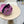MM DISTRESSED FABRIC BASEBALL CAP IN PINK WITH EMBROIDERED LOGO