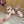 HM 25S CLASSIC WEDGE SANDALS 70 MM IN LIGHT PINK LAMBSKIN WITH SILVER HARDWARE