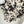 CC BIKINI SWIMSUIT SET IN IVORY MESH WITH BLACK VELVET FLORAL EMBROIDERY 622181