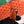 BELVEDERE PM BAG 21CM ORANGE CANVAS