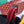 BELVEDERE PM BAG 21CM RED CANVAS