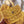 MINI HOBO BOHEME 38CM YELLOW CANVAS