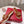 Vlogo Slippers Burgundy